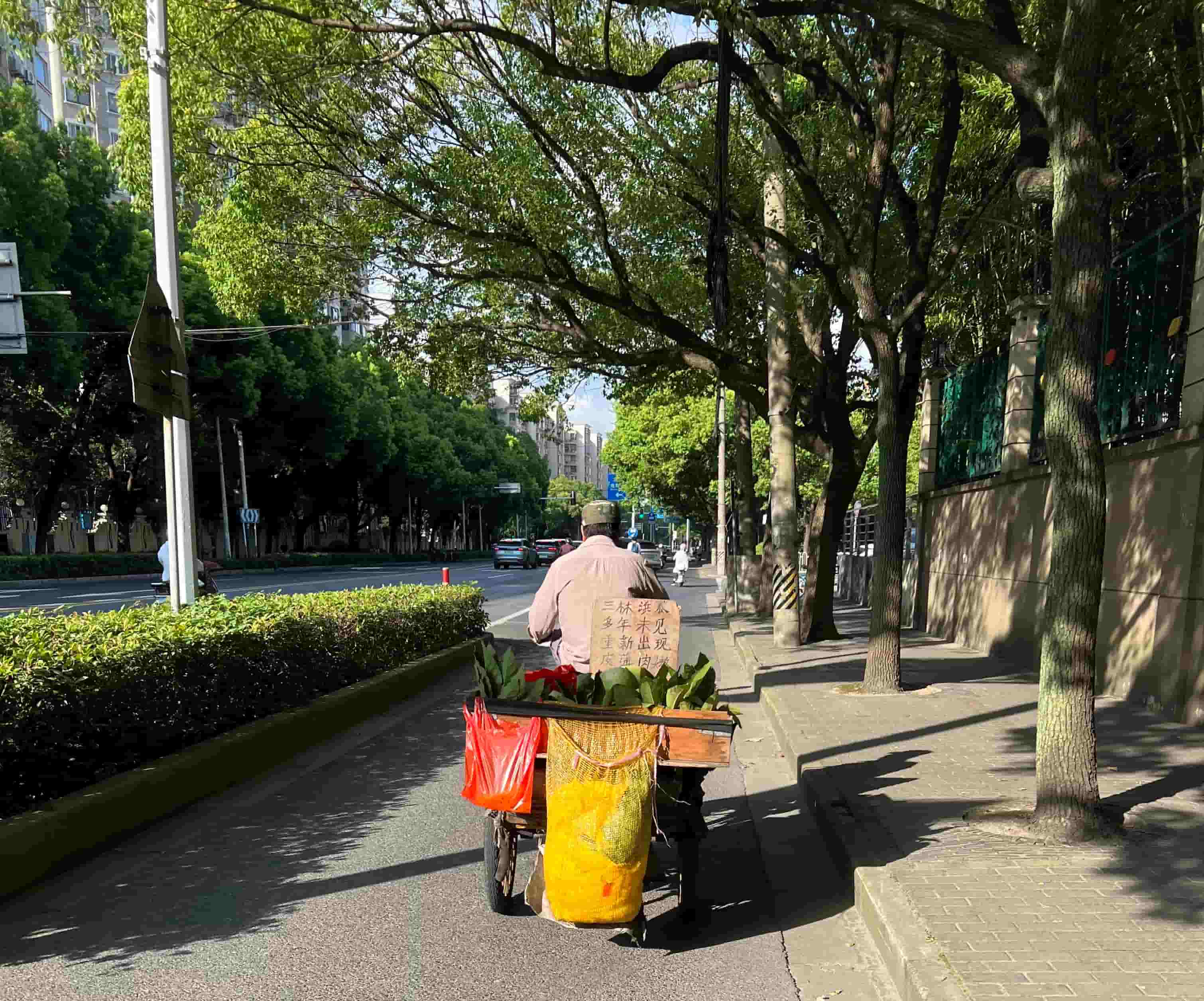 街边抓拍