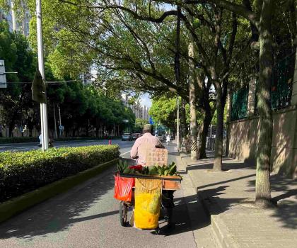 街边抓拍